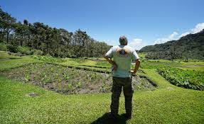 This Native Hawaiian taro farmer (pictured) has been fighting A&B for decades. Photo originally published in Civil Beat. 
